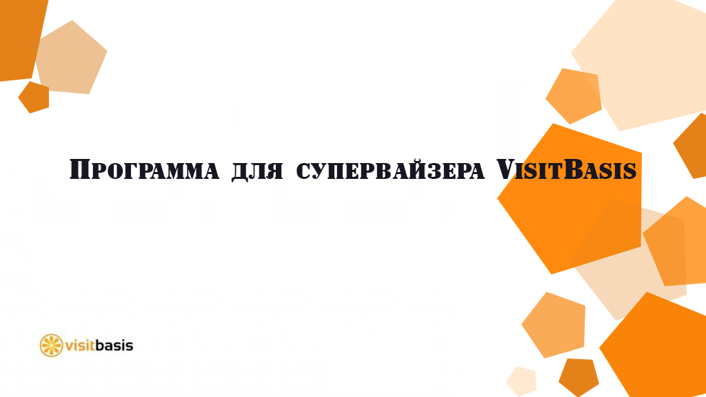 Программа для супервайзера VisitBasis